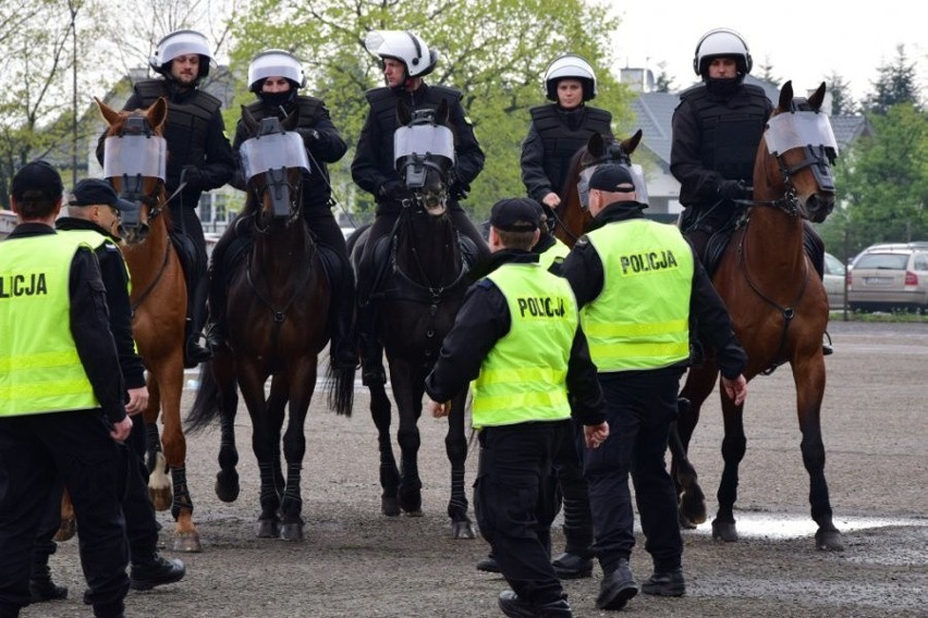 W podkarpackiej Policji "służy" pięć wałachów - Winston,...