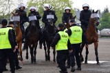 Egzamin podkarpackich policyjnych koni [ZDJĘCIA]