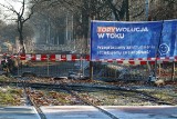 Remont torowiska na Biskupin. Czy prace ruszyły, zgodnie z zapowiedziami? [ZDJĘCIA]