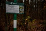 Posłanka lewicy Gosek-Popiołek zapowiedziała wniesienie skargi do WSA przeciwko Regionalnej Dyrekcji Lasów Państwowych w Białymstoku