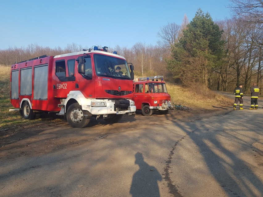 Tragiczny wypadek rowerzystki. Młoda kobieta zmarła w szpitalu