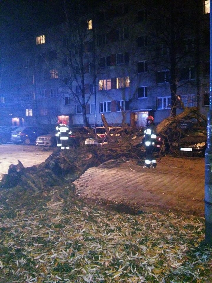 Drzewo runęło na skrzyżowaniu Czarnieckiego z Litomską [ZDJĘCIA]
