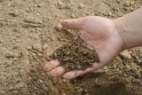 O badaniach gleby, jej regeneracji i nie tylko. Zaproszenie na konferencję w Minikowie