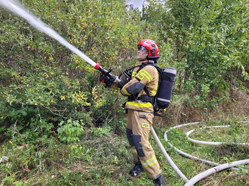 Pięć zastępów strażaków gasiło pożar. Pod Chełmżą płonął pustostan