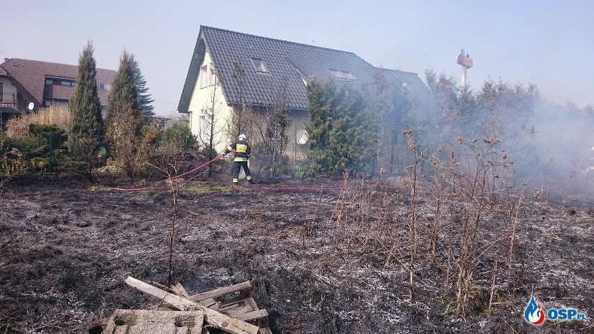 Pożar nieużytków i ogrodzenia posesji w Smolcu