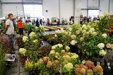 Jesienny Targ Ogrodniczy 2021 na Międzynarodowych Targach Poznańskich. Będzie można kupić rośliny od producentów 