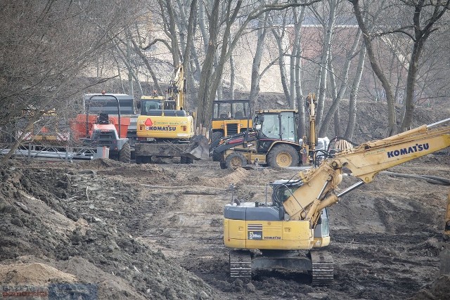 Zmienia się oblicze parku na Słodowie we Włocławku. Wycięto już stare drzewa i krzewy, rozebrano resztki odkrytych pływalni. Powstanie tu m.in. amfiteatr, którego zarysy już widać.