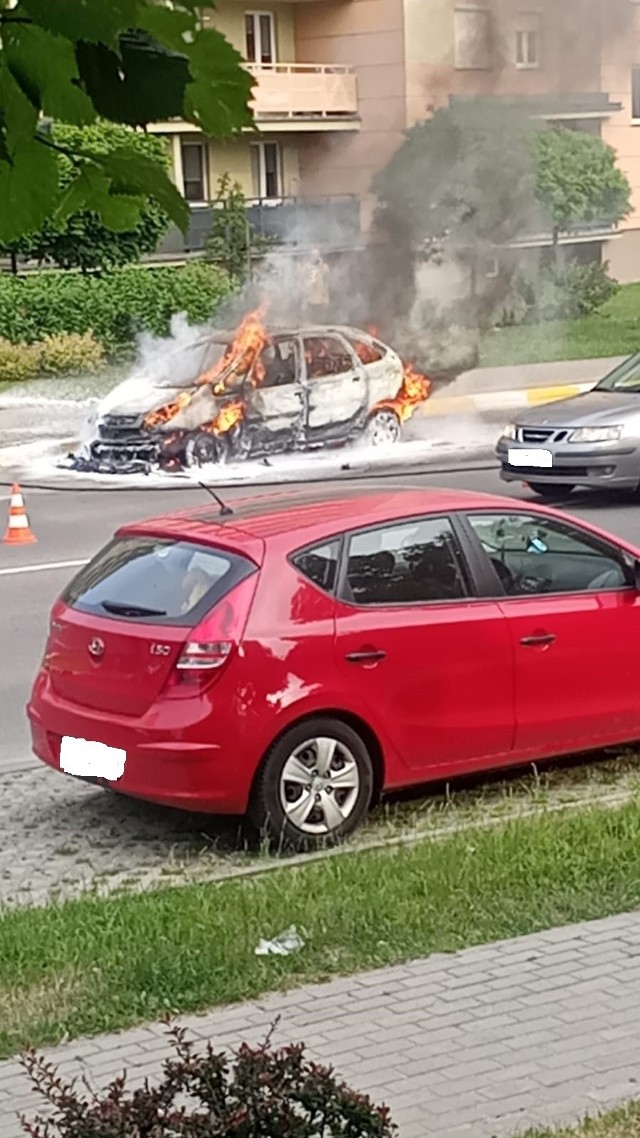 Zdjęcia od pani Moniki. Dziekujemy