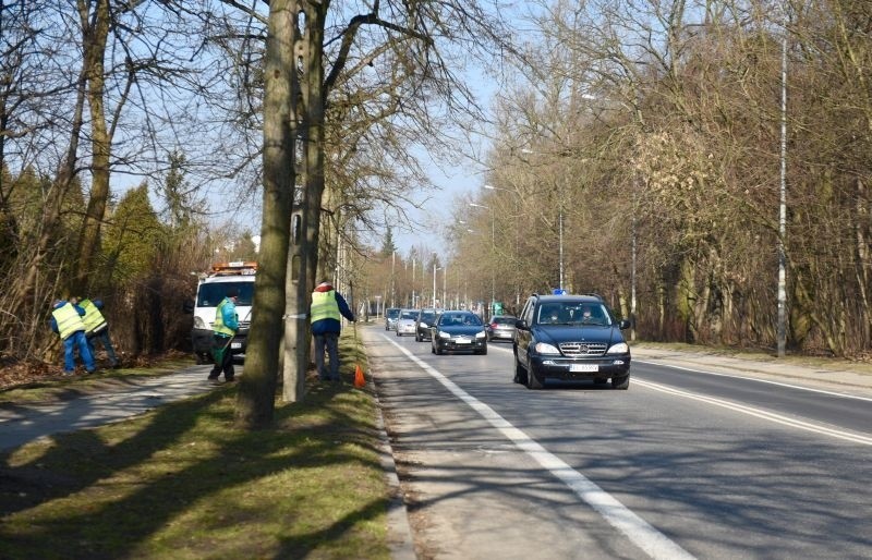 Łodzianie zdecydują, jak po remoncie będzie wyglądać ul. Krakowska