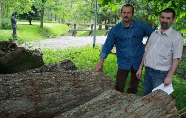 W plenerze uczestniczą m.in. Jerzy Kopeć i Henryk Grudzień. Dziś wybierali kłody, z których wyrzeźbią międzyrzeckich męczenników.