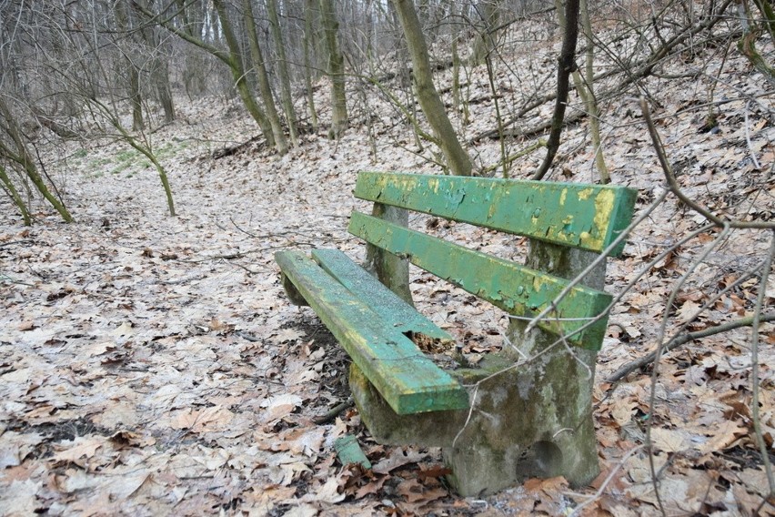 Tarnów. Urządzanie parku na Marcince zaczęli od... wycinki drzew