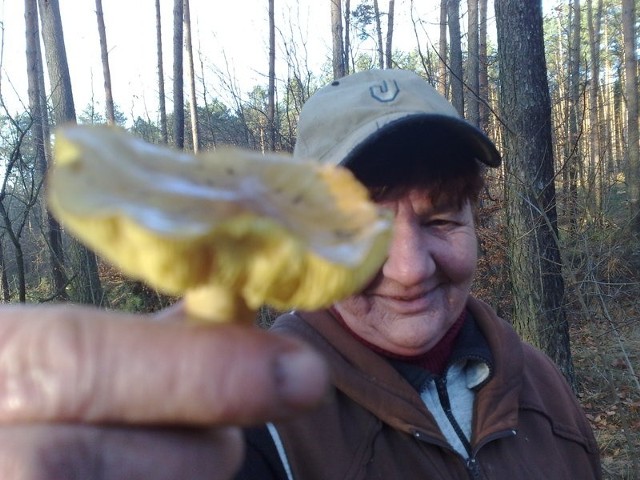 Danuta Nawara ze Szczawna pokazuje jeden ze znalezionych przez siebie grzybów