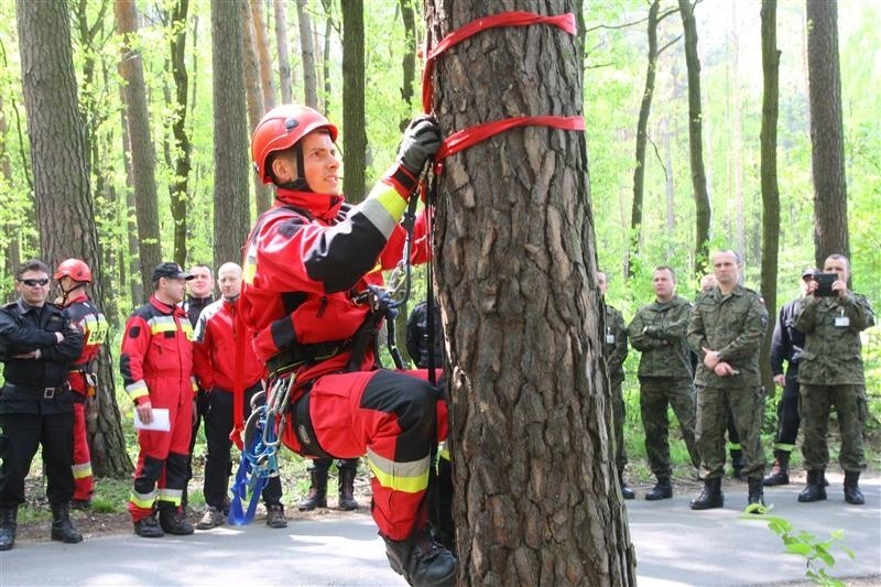 Ewakuacja spadochroniarza, który zawisł na drzewie  była...
