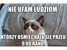 Grumpy Cat zarobił już 100 milionów dolarów