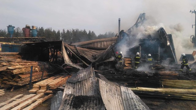 W niedzielę z rana wybuchł pożar tartaku Drewmex w Wąchocku. Prawie doszczętnie spaliła się linia produkcyjna przerobu drewna, w tym kilka drogich maszyn. Właściciel wstępnie oszacował straty na setki tysięcy złotych. Docelowo może to być nawet milion złotych. Z pożarem walczyło 18 strażackich zastępów. W płomieniach stanęły dwa budynki.Sygnał o pożarze wpłynął kilkanaście minut przed godziną 9. Do akcji ruszyło blisko 70 strażaków.Więcej zdjęć na następnych slajdach. - Na miejscu okazało się, że płonie hala magazynowa o wymiarach około 10 na 40 metrów wraz ze zgromadzonym w niej drewnem oraz budynek suszarni mający powierzchnię 70 metrów kwadratowych. Suszarnie jest już prawie ugaszona. Mamy problemy z zaopatrzeniem w wodę, dlatego na miejsce jedzie cysterna z Kielc - informował po godzinie 11 młodszy brygadier Marcin Nyga, oficer prasowy starachowickiej straży pożarnej.Dach na większym z budynków zawalił się. Na szczęście nikomu nic się nie stało.Jak poinformował nas starszy brygadier Wiesław Ungier, komendant powiatowy Państwowej Straży Pożarnej w Starachowicach, który osobiście dowodził akcją gaśniczą, pożar tartaku gasiło 18 jednostek straży pożarnej ze Starachowic, Ochotniczych Straży Pożarnych z powiatu starachowickiego i jednostka specjalistyczna z Kielc. Komendant nie znał jeszcze przyczyny pożaru. Zapytaliśmy o to właściciela zakładu. - Trudno mi powiedzieć, co było przyczyną pożaru. Zakład nie pracował w sobotę i nie pracował w niedzielę. Więc do pożaru nie przyczyniła się działalność moich pracowników- podkreślił Tomasz Bujak, właściciel Tartaku Drewmex. Dodał, że przerwa produkcyjna w tym zakładzie potrwa, co najmniej trzy miesiące. Koszt odtworzenia linii produkcyjnej to, co najmniej kilkaset tysięcy złotych, a nawet milion złotych.Tomasz Bujak ze Starachowic, właściciel Tartaku Drewmex Wąchock, to, obok Pawła Nowaka, właściciela Zakładu Wędliniarskiego w Wąchocku, znany w Wąchocku, najbardziej hojny sponsor wielu imprez, w tym kosztownych imprez sołeckich oraz starachowickiego boksu. 