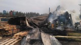 Ogromny pożar w Wąchocku. Paliły się budynki tartaku. 70 strażaków w akcji [ZDJĘCIA]