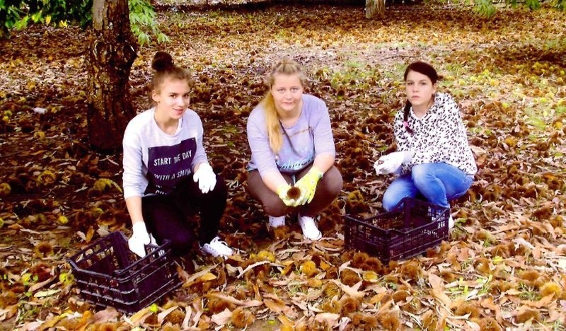 Młodzież z Goworowa na stażu zawodowym w Grecji