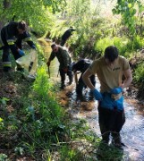Mieszkańcy gminy Wołczyn sprzątali rzekę. W cztery godziny zebrali górę śmieci