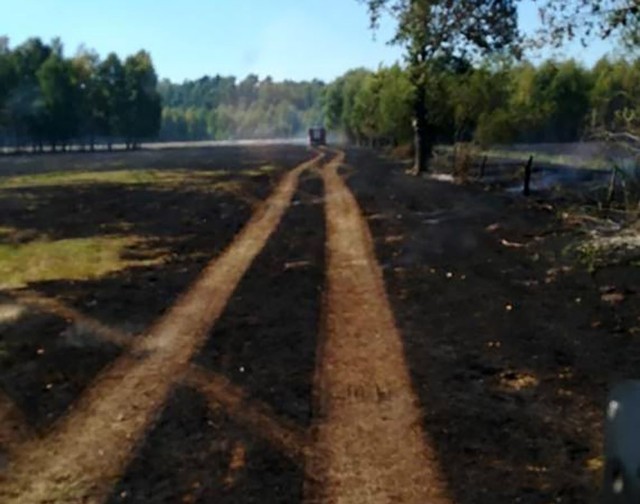 Pożar wybuchł w środę, 4 lipca, w rejonie Zawady koło Gubina. Płonie wiele hektarów traw. Pożar dostał się do lasu. Około godz. 17.00 pożar został opanowany.Po godz. 16.00 na miejscu było 13 jednostek straży pożarnej zawodowej i ochotniczej, między innymi OSP Dąbie. – Na miejsce został wezwany samolot gaśniczy lasów państwowych – mówi kpt. Dariusz Szymura, rzecznik lubuskiej straż pożarnej.Około godz. 17.00 pożar został zlokalizowany przez strażaków. – Trwa dogaszanie – mówi kpt. Szymura. Pożar strawił 1o hektarów nieużytków i 15 arów ściółki w lesie.Zobacz też wideo: Wielki pożar traw i lasu w Gorzowie