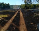 Gigantyczny pożar. Ogień zaatakował las koło Gubina. Na pomoc w gaszeniu ognia wezwano samolot gaśniczy [ZDJĘCIA]