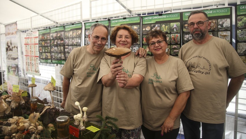 Niesamowita I Podkarpacka Wystawa Grzybów w Boguchwale.