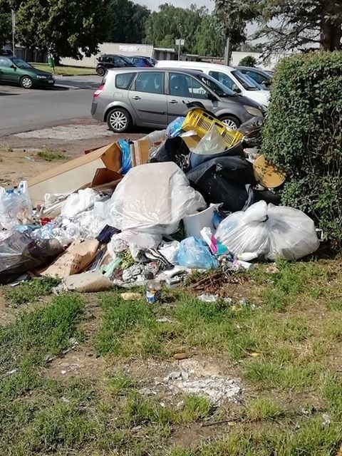 Problem ze śmieciami w Koszalinie. PGK: zarządcy nie podpisują umów na sprzątanie