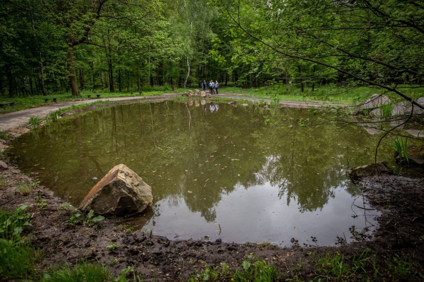 W Parku Sląskim podpisano umowę na remont kolejnych ścieżek