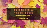 Trójmiasto: co robić w długi weekend? Wydarzenia listopadowe, które polecamy!