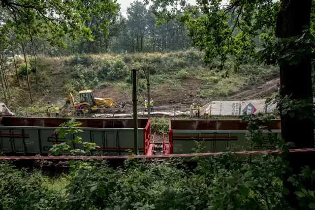 Złoty pociąg. Tajemnica "złotego pociągu" może zostać rozwiązana w ciągu 3 dni (zdjęcia, wideo)