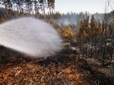 Pożary w lasach blisko Żar.  Strażacy mają co robić, obowiązuje najwyższy stopień zagrożenia pożarowego