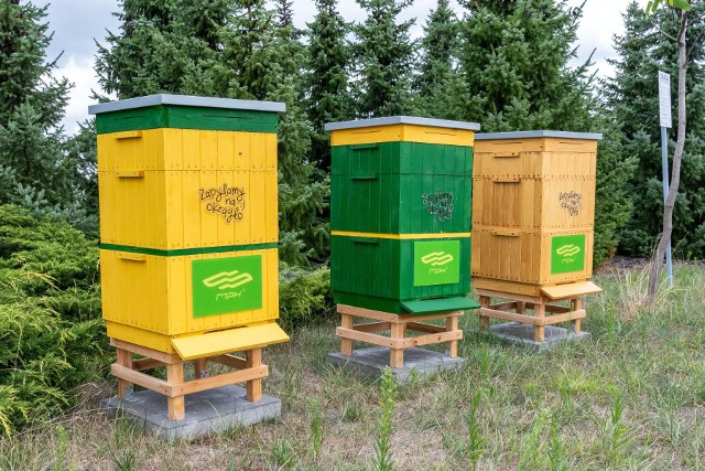 Na terenie  zajezdni Franowo ustawiono trzy ule, w których zadomowiły się pszczoły.