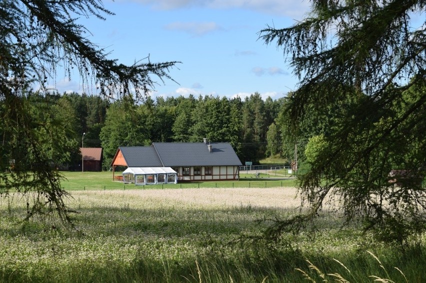 Loryniec - malowniczo usytuowana wieś na terenie Wdzydzkiego Parku Krajobrazowego [ZDJĘCIA]