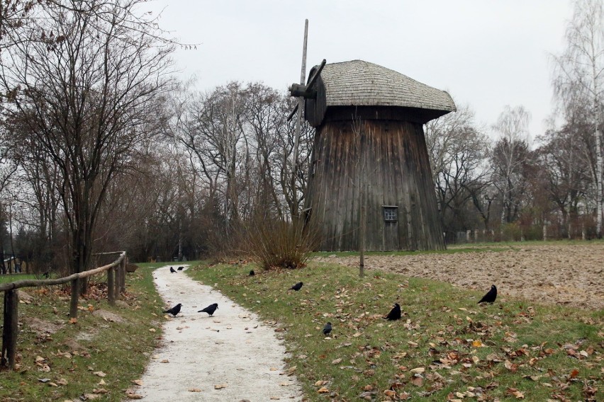 „Dzień bezpłatnego wstępu” do Muzeum Wsi Lubelskiej