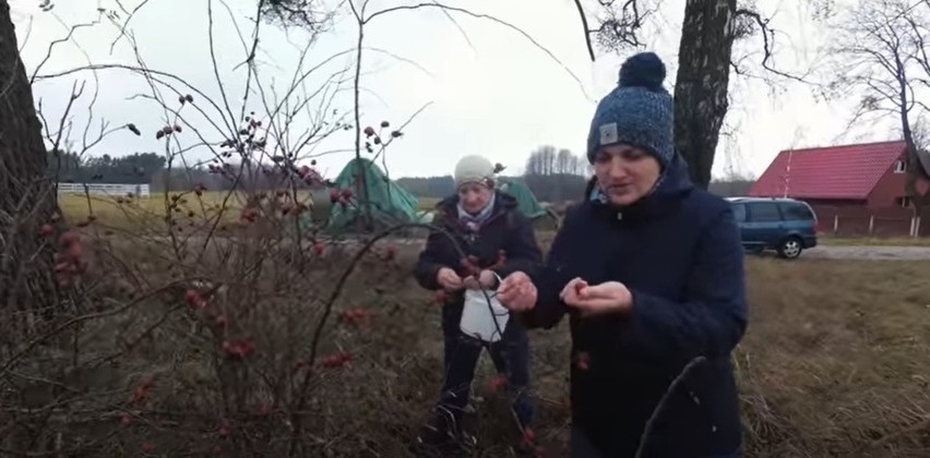 Rolnicy. Podlasie. Nalewka z dzikiej róży po podlasku. Przepis przedstawia Emilka Korolczuk z Laszek [14.12.2021]