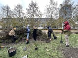 Studenci i naukowcy z Wrocławia stworzyli biopolepszacz glebowy. Ma użyźniać glebę i ograniczać wchłanianie zanieczyszczeń z podłoża