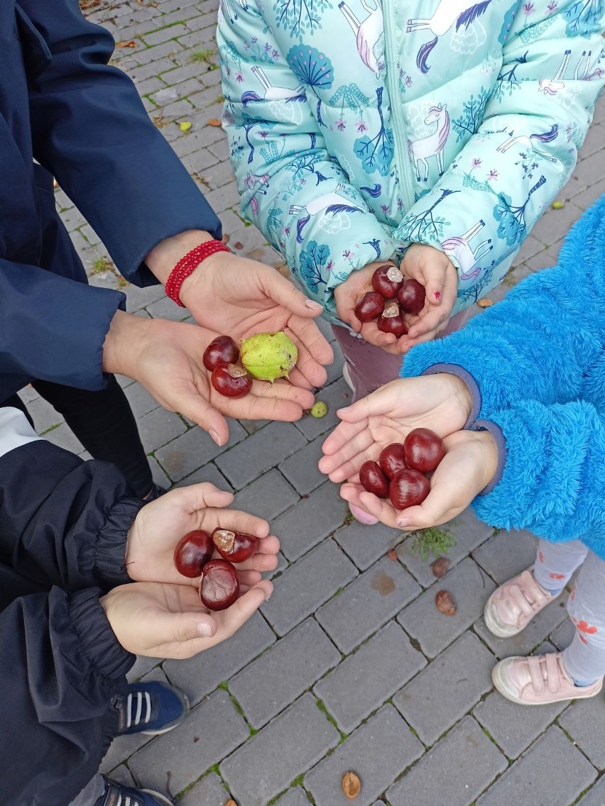 Powitanie jesieni w przedszkolu w Kurozwękach. Były muzyczne zabawy i ciekawe zadania - zobacz zdjęcia