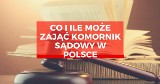 Co i ile może zająć komornik sądowy w Polsce. Zajęcie wynagrodzenia, egzekucje z konta, zajęcie ruchomości