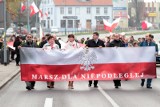 PiS poszedł w Marszu dla Niepodległej (wideo, zdjęcia)