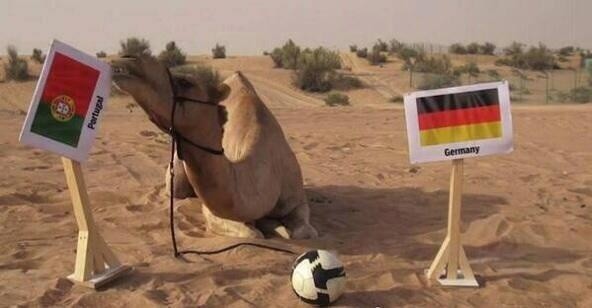 Memy po meczu Niemcy - Portugalia
