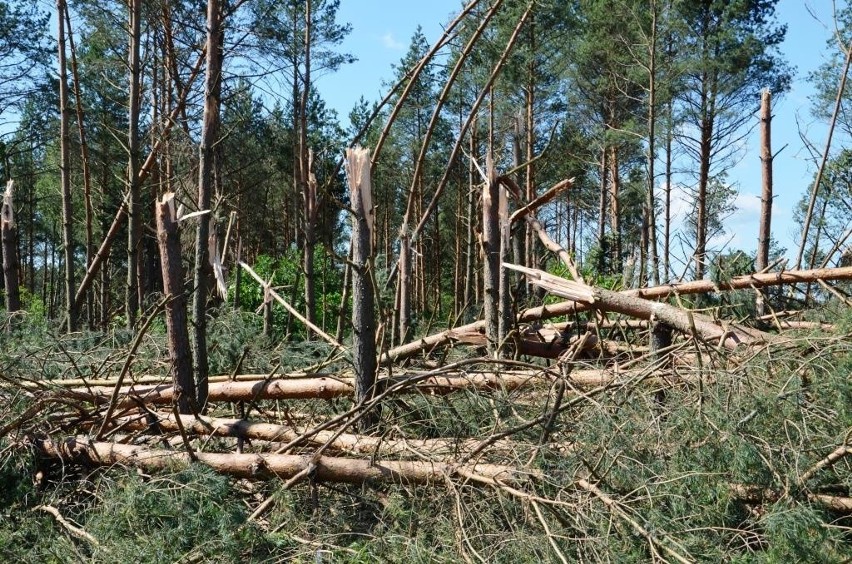 W czwartek 29.06.2017 r. przez woj. podlaskie przeszła...