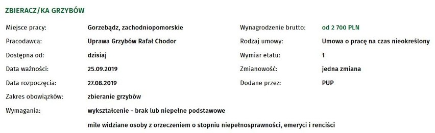 Publikujemy 40 najnowszych ofert pracy, które wpłynęły do...