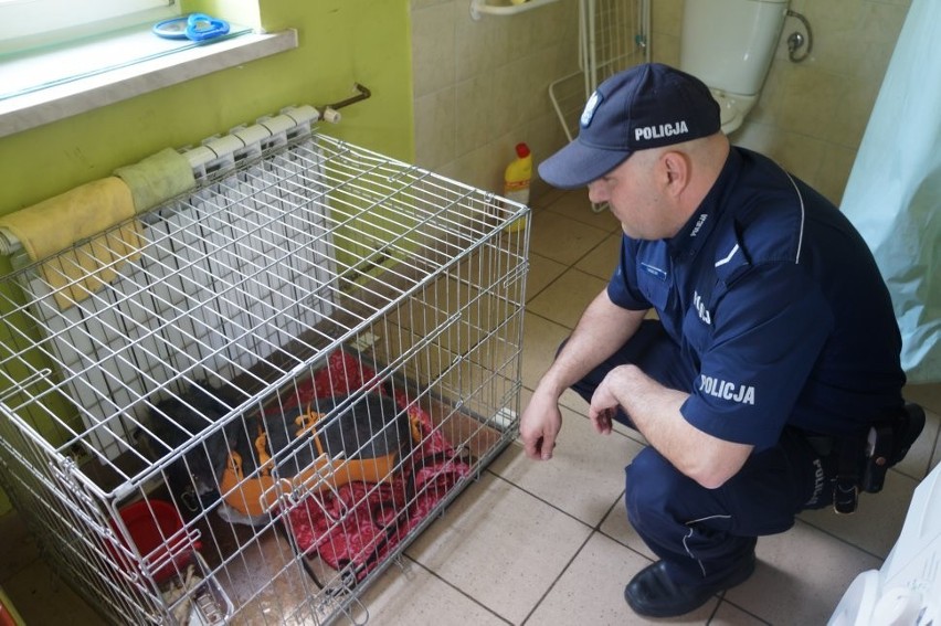 Policjanci z Będzina zainicjowali pomoc dla niepełnosprawnego 56-latka, który opiekuje się psami