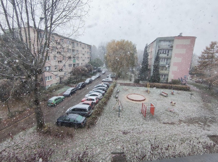 Pierwszy śnieg w tym sezonie w województwie śląskim. Opony zmienione?