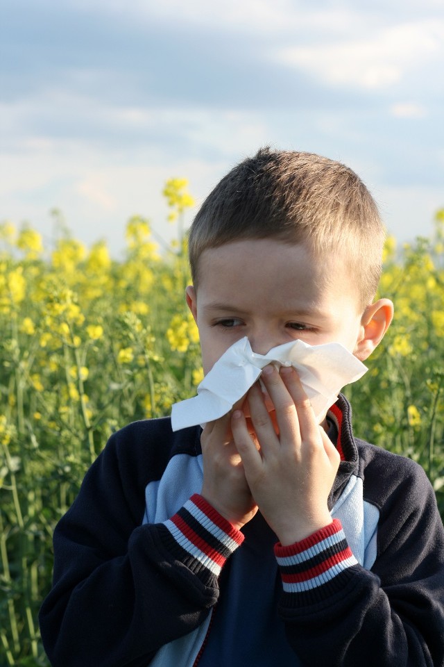 Alergenami są m.in. pyłki roślin, roztocze kurzu, pleśnie, pokarmy