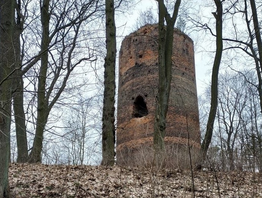 Wieża w Przewozie nie tylko przez mieszkańców, ale i...