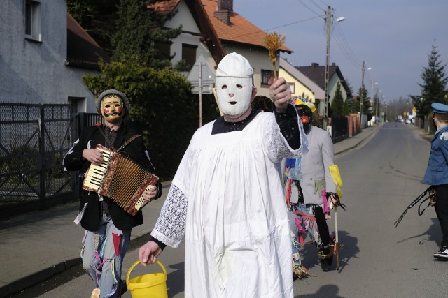 Żandary to coroczna tradycja, kultywowana w lany poniedziałek od wielu lat. Kolorowy korowód przebierańców wychodzi na starą część poznańskiego osiedla Ławica, które kiedyś było wsią. Przebierańcy oblewają dziewczyny wodą, smarują dzieci sadzą i składają życzenia gospodarzom. W zamian dostają pieniądze lub słodycze. Są także zapraszani przez mieszkańców na poczęstunek. W skład korowodu obowiązkowo wchodzą takie postacie jak ksiądz, żandarm, baba, kominiarz i dziad. Tradycyjnym punktem kulminacyjnym jest wspinaczka baby i kominiarza na komin lokalnej piekarni. Jest to jedna z nielicznych wiejskich tradycji, która przetrwała po przyłączeniu wsi do miasta.Przejdź dalej i zobacz kolejne zdjęcia --->