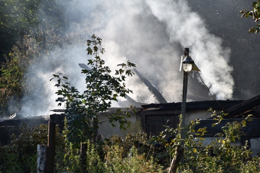 Pożar w Pomiłowie. Znaleziono zwłoki na pogorzelisku (15.08.2020) Słuzby przeszukują miejsce po przejściu ognia [zdjęcia, wideo]