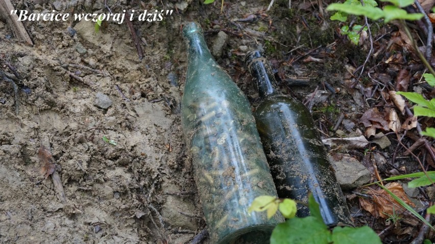 W lesie wykopali arsenał. W trzech butelkach po winie było blisko 500 sztuk naboi [ZDJĘCIA]