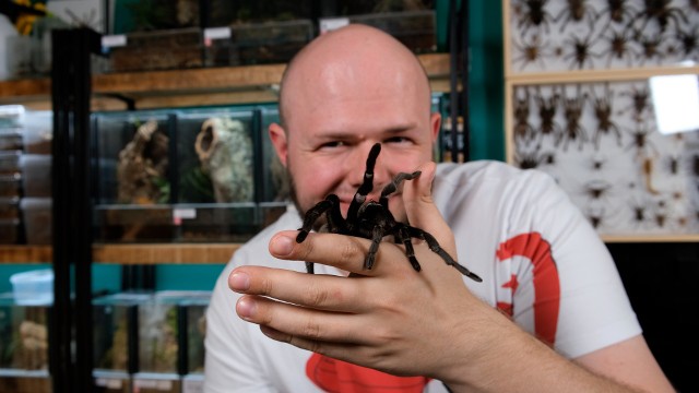 Wojciech Kubiak od 2020 roku prowadzi na YouTube kanał o pająkach.