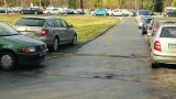 Oświęcim. Zamiast karać mandatami, róbcie parking